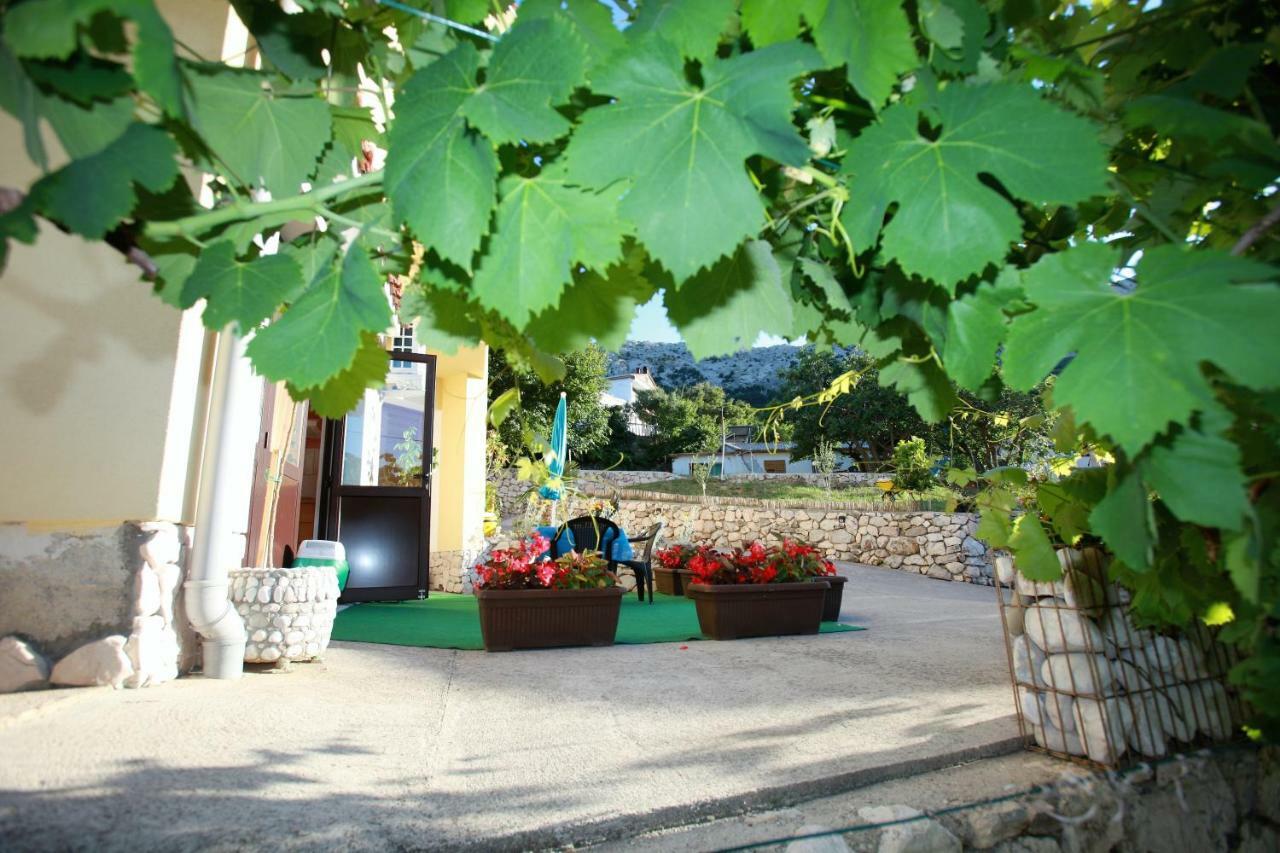 Apartment Sersic