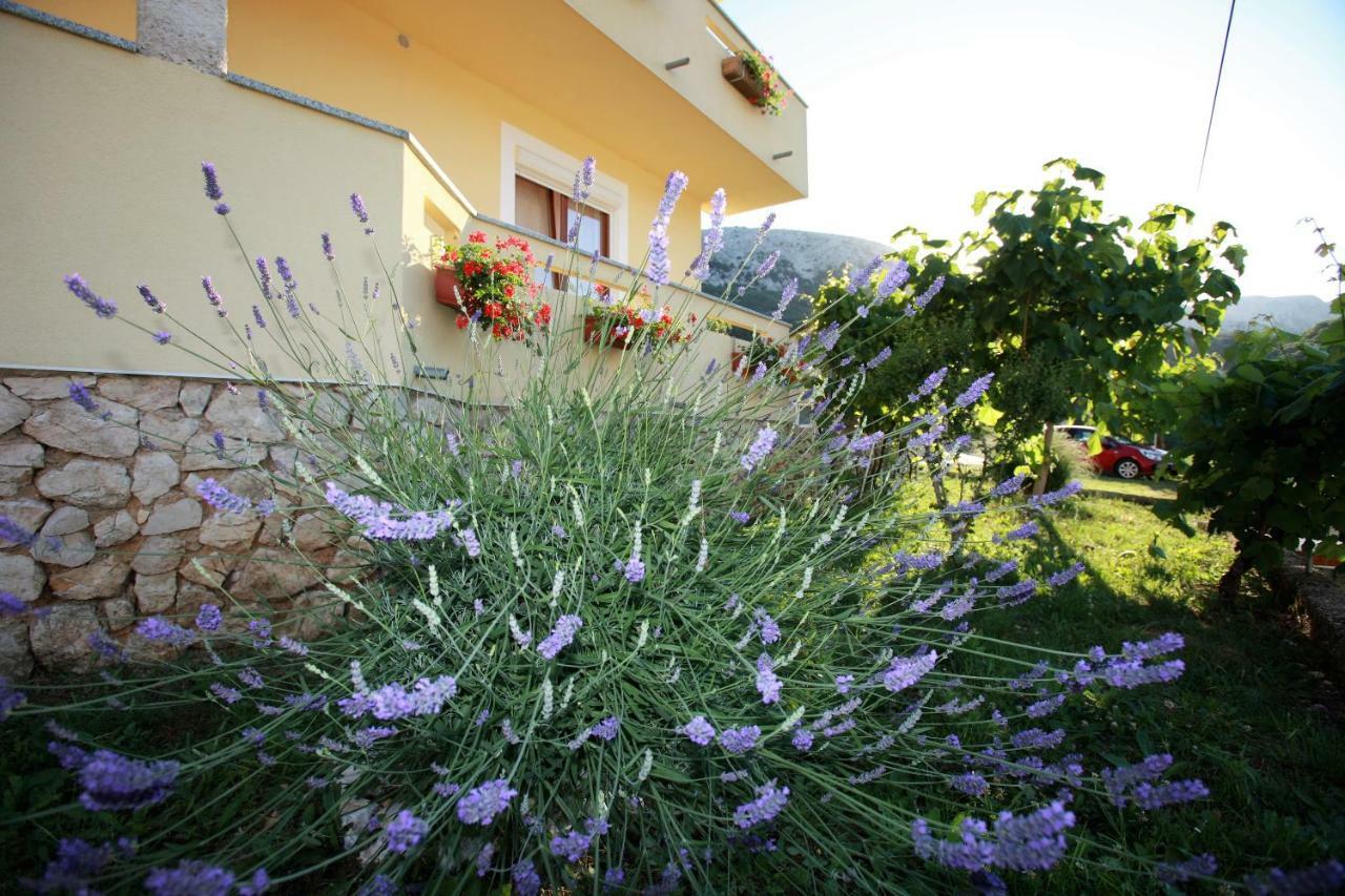 Sersic Baška